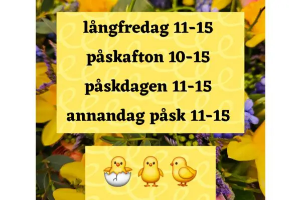 bc9ba9ae-3e84-451b-b0cf-d121d3870d3f