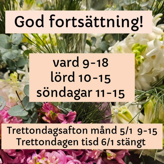 Instagram post 17847016590627667