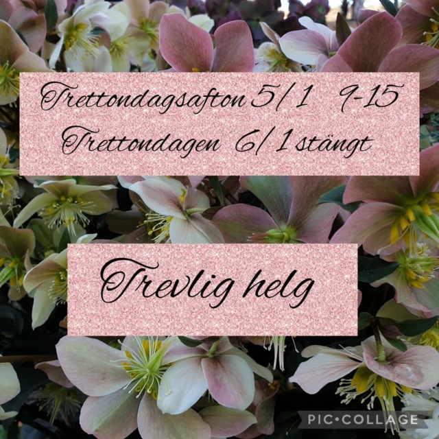 Instagram post 18067627298170832