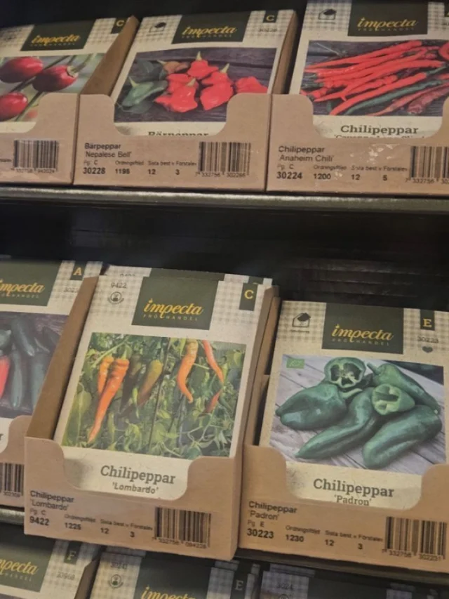 🍅🌶 chilli och tomatfröer i massor!
I år har vi 47 olika tomatsorter från Impecta att välja mellan, med andra ord något för alla smaker!
Välkommen till oss i Kullavik och välj och vraka bland fröpåsarna!
Vi har även ett stort sortiment av andra fröerna bla 34 olika sorters luktärter 🌸

#fröpåsar #tomatfrön #chillifrö #förodling