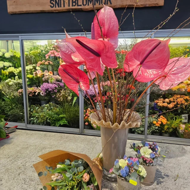 Fredag och snöstorm!
Då behövs det en härlig helgbukett🌸💕
Trevlig helg!