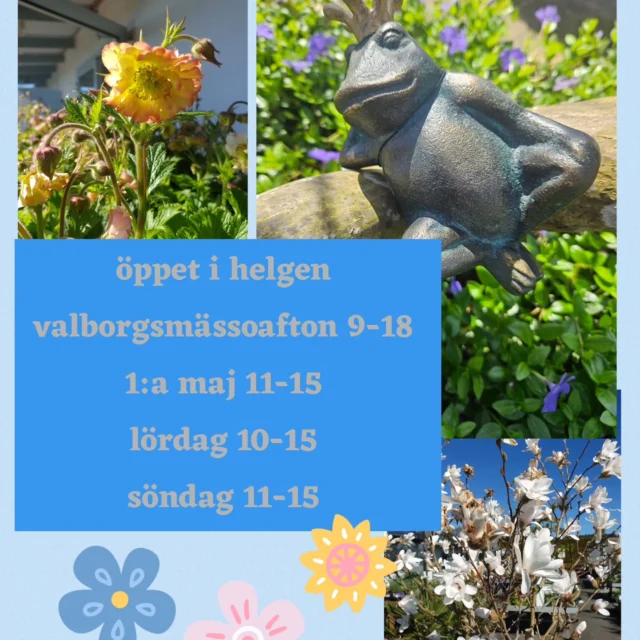 Buketter, sommarblommor, perenner, buskar, träd, krukor, gödsel, fröer mm. Vi har fyllt butiken med det som behövs för en fixardag i solen🌻🌸🌿
Vi önskar alla en fin helg 🌞 

#trädgårdskrukor #blommor #växter #sommarblommor #trädgård