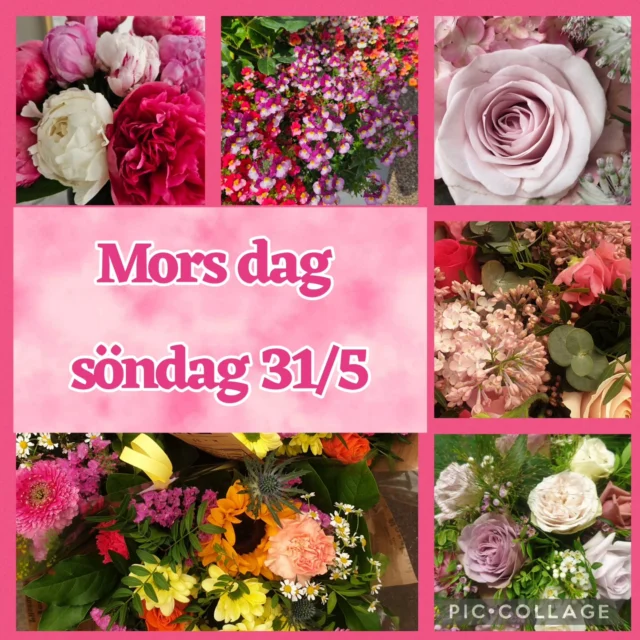 Glöm inte uppvakta mamma med en blomma 🌸🩷
På söndag har vi öppet 11-15.🌻🌿🩷
Trevlig helg!
