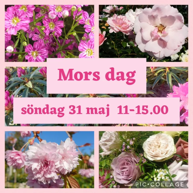 Mors dag och alla fina mammors dag 🩷 och vi har dukat upp med buketter och annat fint som kan passa 🌸
Välkommen till oss I Kullavik vi finns på plats 11-15 idag!❤️🩷❤️
